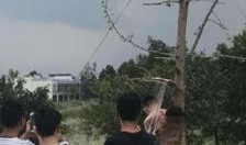 男子爆料景区事件视频,真相与反思