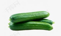 翰林府免费吃瓜视频,带你领略宫廷美食魅力