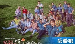 韩剧木槿花开在线观看,穿越时空的爱恋，揭开韩国宫廷的神秘面纱