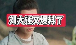 刘大锤今天爆料了吗视频,揭秘幕后真相