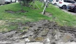 长春绿园区最新爆料,揭秘区域发展新动向与亮点