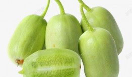 小香瓜视频爆料网站,揭秘娱乐圈幕后真相