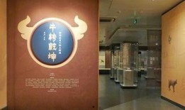 徐州博物馆爆料事件视频,揭秘背后真相与争议