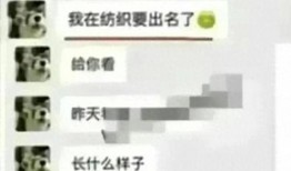 聊天爆料视频大全,视频大全背后的惊人真相