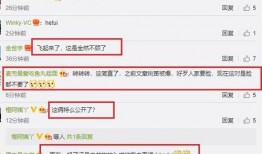 网友爆料视频怎么做,事件始末及背后真相