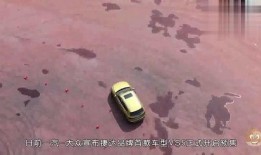 大众爆料视频最新消息