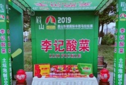 李记东坡爆料视频播放,揭秘幕后真相，带你走进事件核心