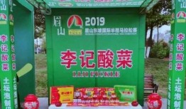 李记东坡爆料视频播放,揭秘幕后真相，带你走进事件核心