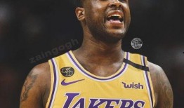 湖人最新数据爆料,战绩起伏背后的真相！”