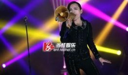 在线观看歌手总决赛,在线观看歌手总决赛，精彩瞬间回顾