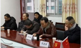 仪陇金城最新爆料,揭秘神秘项目背后的惊人真相