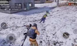 雪地娘孑军在线观看,在线重温冰雪战场的英勇传奇