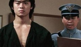 力王完整版在线观看,巅峰对决，在线观看，热血沸腾的武术传奇