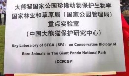 都江堰新闻爆料电话号码,市民可随时关注最新动态