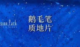 鹅毛笔在线观看,穿越时空的书写传奇