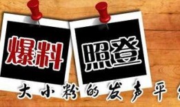 新闻爆料热歌榜,最新热门歌曲盘点